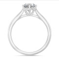 2.50 Karat Solitärring in Platin mit rundem Diamant