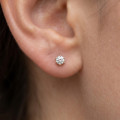 3.00 carat solitaire lab grown diamond earrings in red gold