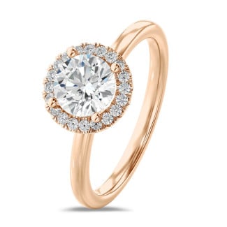 
                                                3.00 Qt