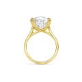 Bague unique en son genre avec diamant de 10,14 carats, taille coussin allongée Old Mine, créé , monté sur or jaune.