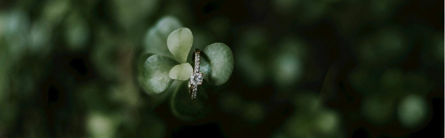 A beautiful eternity ring with a diamond in a natural setting