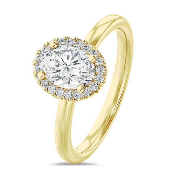 Ringen - 1.00 karaat halo solitaire ring met een ovale lab grown diamant in geel goud met ronde lab grown diamanten