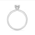 3.00 karaat solitaire ring met een ovale diamant en hidden halo in wit goud