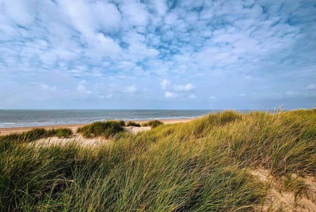 海边沙丘与海滨草丛前景，远处是平静海面和晴空白云，展现自然海岸风光。